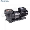 Water Pump for Swimmig Pool