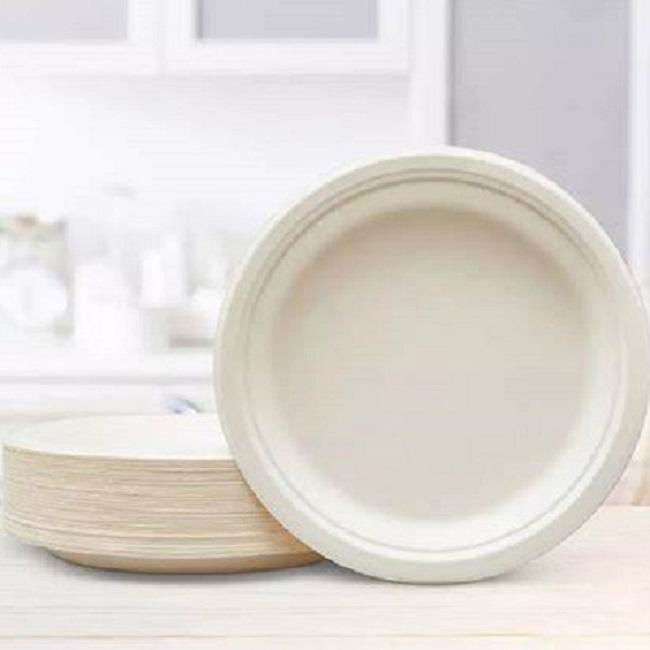 Compostable Sugarcane Bagasse Pulp Disposable Plate Dishes 4