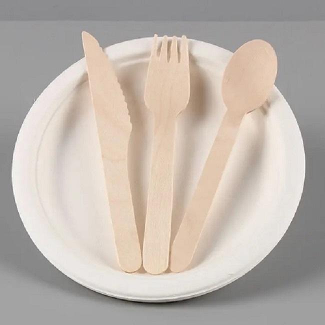 Compostable Sugarcane Bagasse Pulp Disposable Plate Dishes