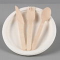 Compostable Sugarcane Bagasse Pulp Disposable Plate Dishes