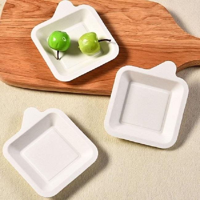 Compostable Sugarcane Bagasse Pulp Disposable Plate Dishes 5