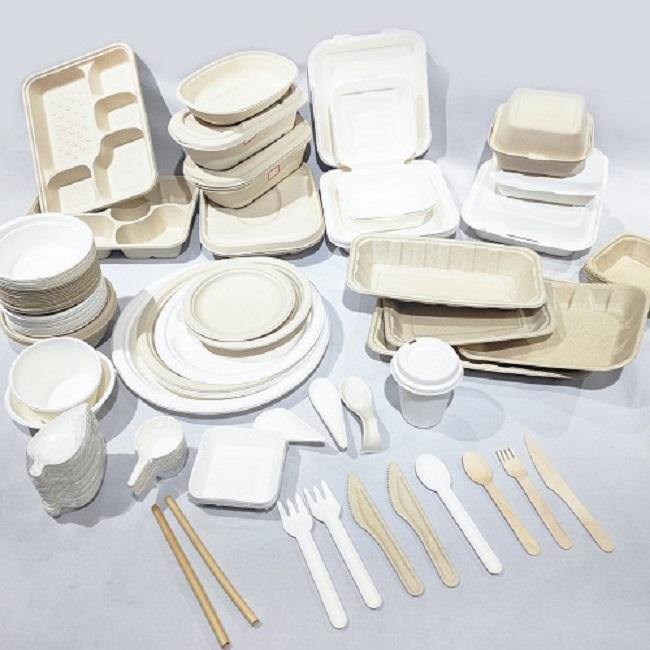 Compostable Sugarcane Bagasse Pulp Disposable Plate Dishes 2