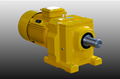 TGS R series reducer 1