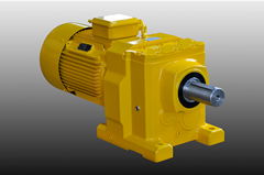 TGS R series reducer