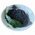 High Thermal Conductivity Synthetic Graphite Powder 5