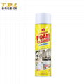 Multifunctional Foam Cleaner 1