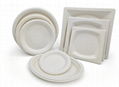 Compostable Food Packaging  2