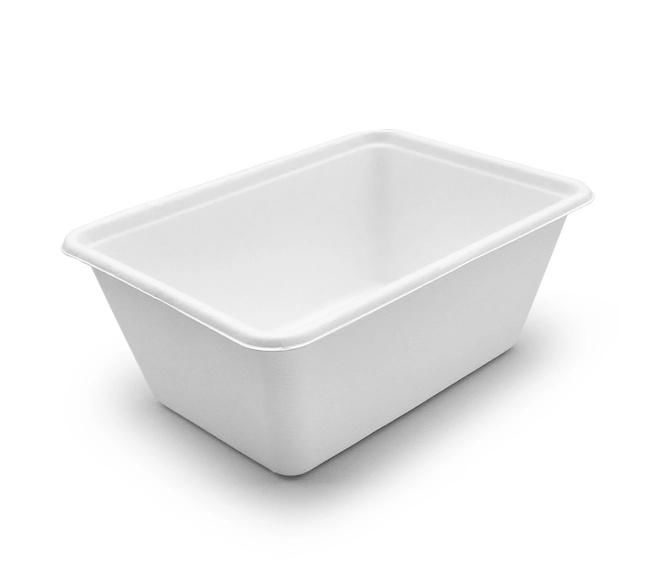 1000 ml Water Resistant Disposable Biodegradable Takeaway Bagasse Fiber Square F