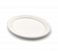 12.5inch Vegetable Fiber Disposable Dinner Plate