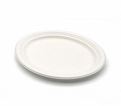 12.5inch Vegetable Fiber Disposable Dinner Plate