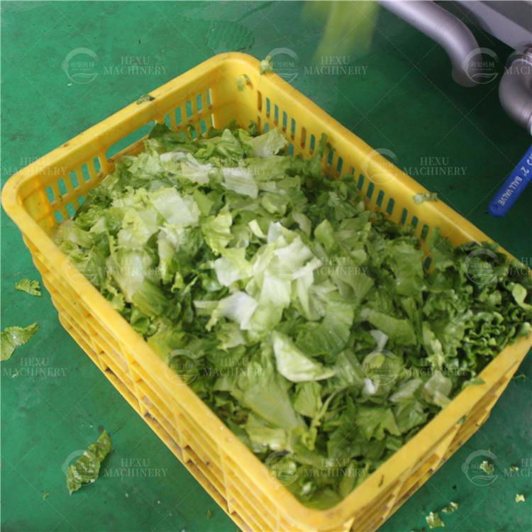 Vegetable Washing Machine Food Processing Washing Machine 5