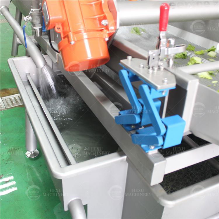 Vegetable Washing Machine Food Processing Washing Machine 4