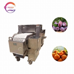 Plum Apricot Kernel Removing Machine Core Pitting Machine For Plum