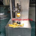 Coconut Pineapple Papaya Peeling Machine Peeling Machine 5