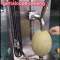 Coconut Pineapple Papaya Peeling Machine Peeling Machine 9