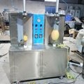 Industrial Coconut Pineapple Watermelon Papaya Pumpkin Peeling Machine