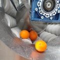 Continuous Type Root Vegetable Yam Carrot Potato Peeling Machine Line