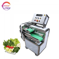Commercial Vegetable Cutting Leafy Vegetable Spinach Parsley Lettuce Chopper