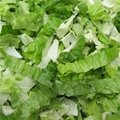 Commercial Vegetable Cutting Leafy Vegetable Spinach Parsley Lettuce Chopper 9