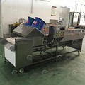 Automatic Fruit Lemon Dates Washing And Polishing Machine