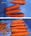 Commercial Carrot Knife Peeling Machine Carrot Skin Peeler Machine 6