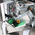 Electric Vegetable Oblique Cutting Machine Plantain Okara Slicing Machine 2