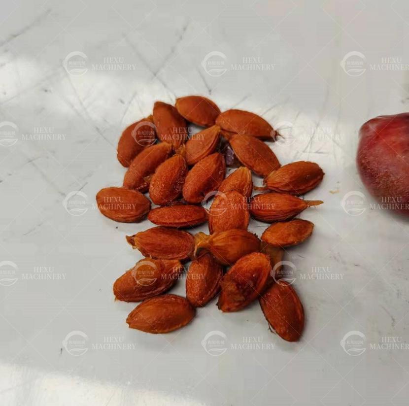Automatic Apricot Pitting Machine Plum Core Removing Machine 6