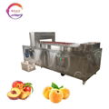 Stainless Steel Peach Pitting Machine