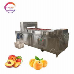 Stainless Steel Peach Pitting Machine Peach Coring Machine