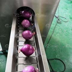  Onion Top Cutter Multifunction White Onion Head and Tail Cutting Machine