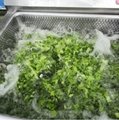  Fruit Cleaning Lettuce Cabbage Spinach Leaf Vegetable Washing Machine