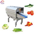 Vegetable Cutting Salad Cabbage Carrot Shredding Slicing Kitchen Equipmet