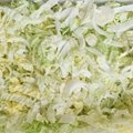 Vegetable Cutting Salad Cabbage Carrot Shredding Slicing Kitchen Equipmet