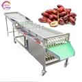 High Efficiency Dates Size Sorter Machine Red Dates Sorting Machine 1