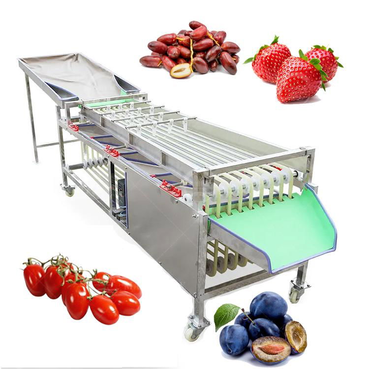 High Efficiency Dates Size Sorter Machine Red Dates Sorting Machine 2