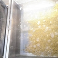  Vegetable Fruit Washer Tomato Washing Machine Sprout Washing Machine 4
