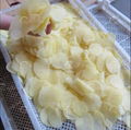 Taro Chips Making Cutting Machine Commercial Electric Cutter for Potato 7