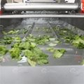 Vortex Leaf Vegetable Washing Machine Fruit Mango Apple Cleaning Machine
