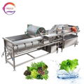 Vortex Leaf Vegetable Washing Machine Fruit Mango Apple Cleaning Machine