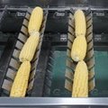 Frozen Min Corn Maize Cutting Machine Radish Carrot Cutting Machine Corn Cutter