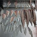 Pangasius Fish Fillet Filleting Deboning Cutting Maker Making Machine 9