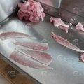 Automatic Fresh Meat Cutting Machine Beef Pork Slicing Machine Fish Cut Machine  5