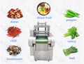 Automatic Dried Mixed Fruit and Vegetables Snack Cutting Machine 1