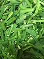 Portable Small Banana Chips Okra Slicer Scallion Chopping Machine 6