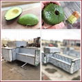 Electronic Avocado Destoner Machine