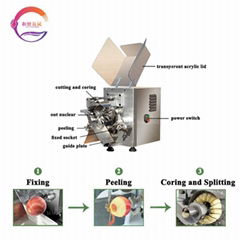 Electric Apple Peeling And Cutting Machine Pear Peeling Machine