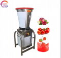 Electric Juicer Fruit Mixing Machine