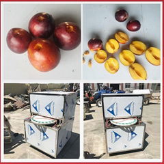 Automatic Apricot Pitting Machine Plum Core Removing Machine