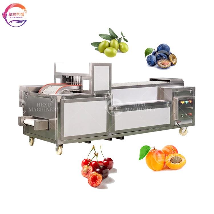 Olive Apple Peach Plum Apricot Avocados Pit Core Remover Cutting Machine
