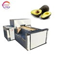 Avocado Pit Remover Avocado Nucleating